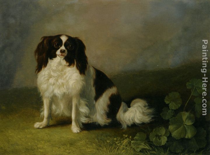 A King Charles Spaniel in a Landscape painting - Jacob Philipp Hackert A King Charles Spaniel in a Landscape art painting